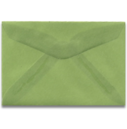 Pack of 25, Seating Card Envelope-assorted colors